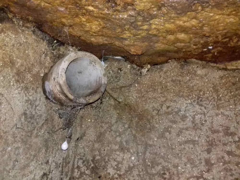 Septic tank outlet with its dip pipe missing